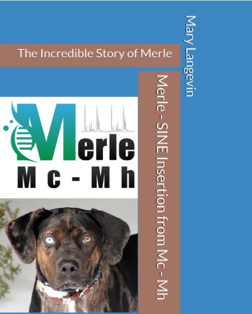 New Cover for Amazon